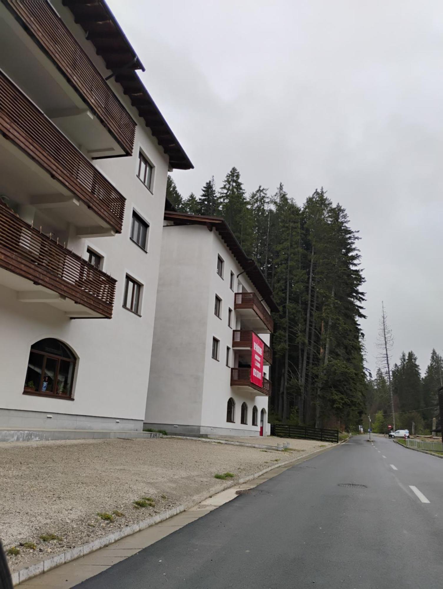 Forest Oasis Studio - Free Netflix And Disney Plus Predeal Bagian luar foto