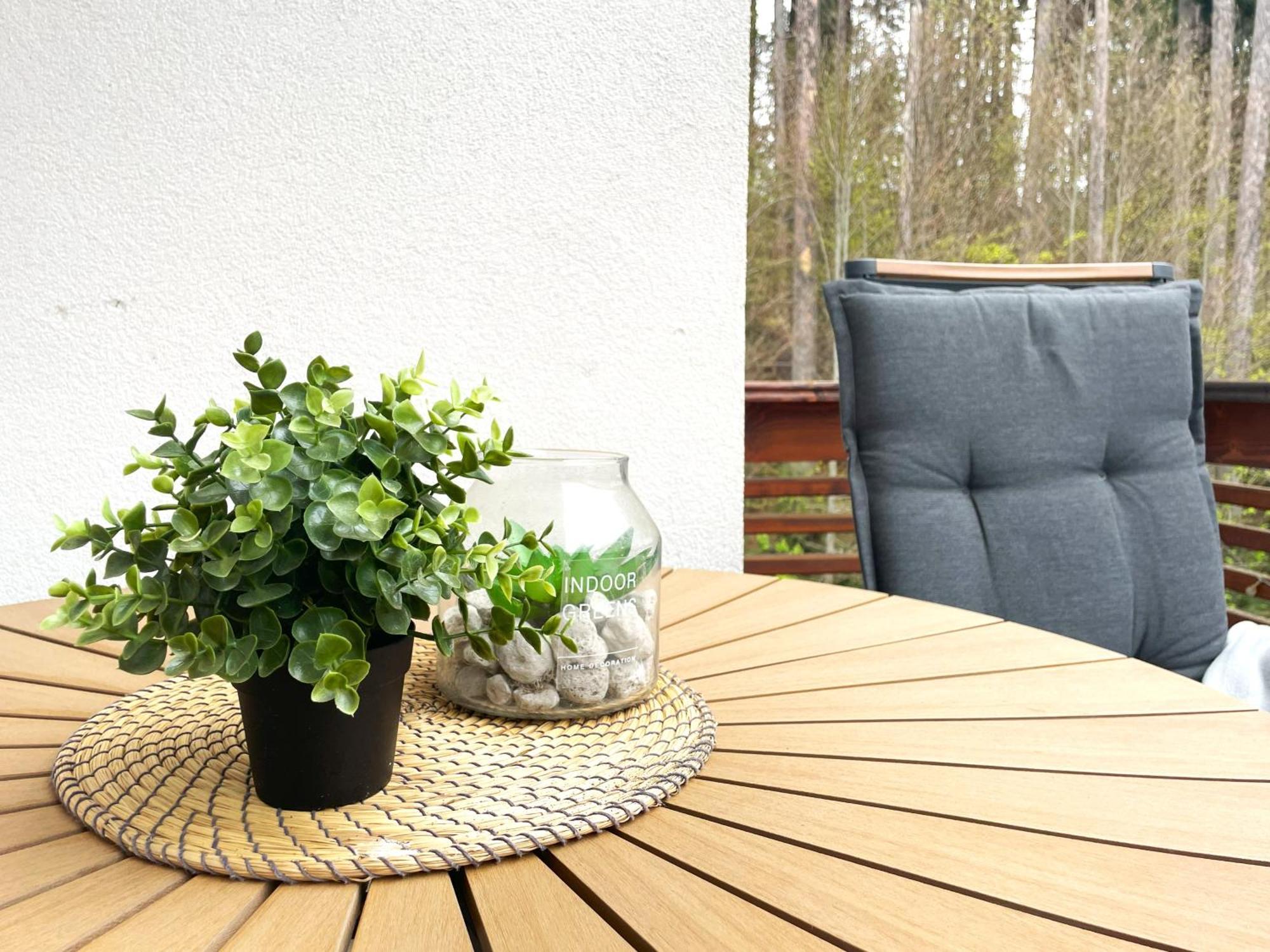 Forest Oasis Studio - Free Netflix And Disney Plus Predeal Bagian luar foto